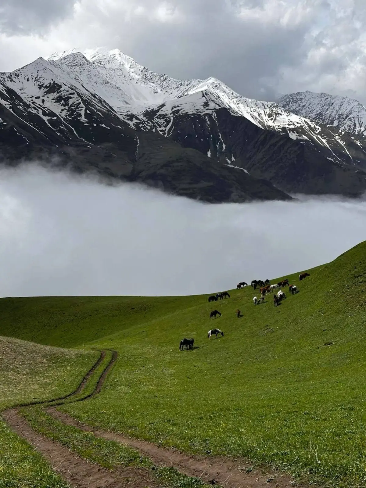 Kazakhstan landscape 6